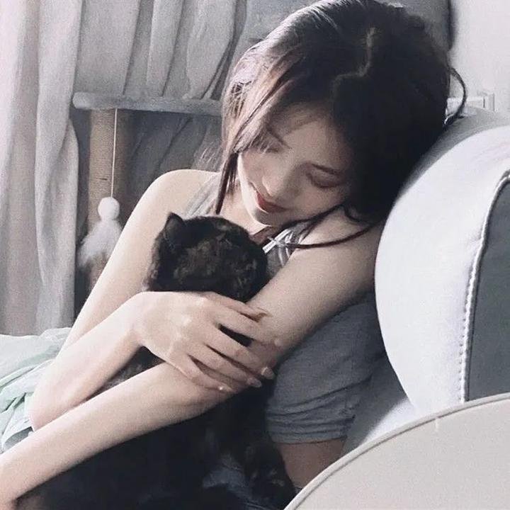 蛇和猫鼬